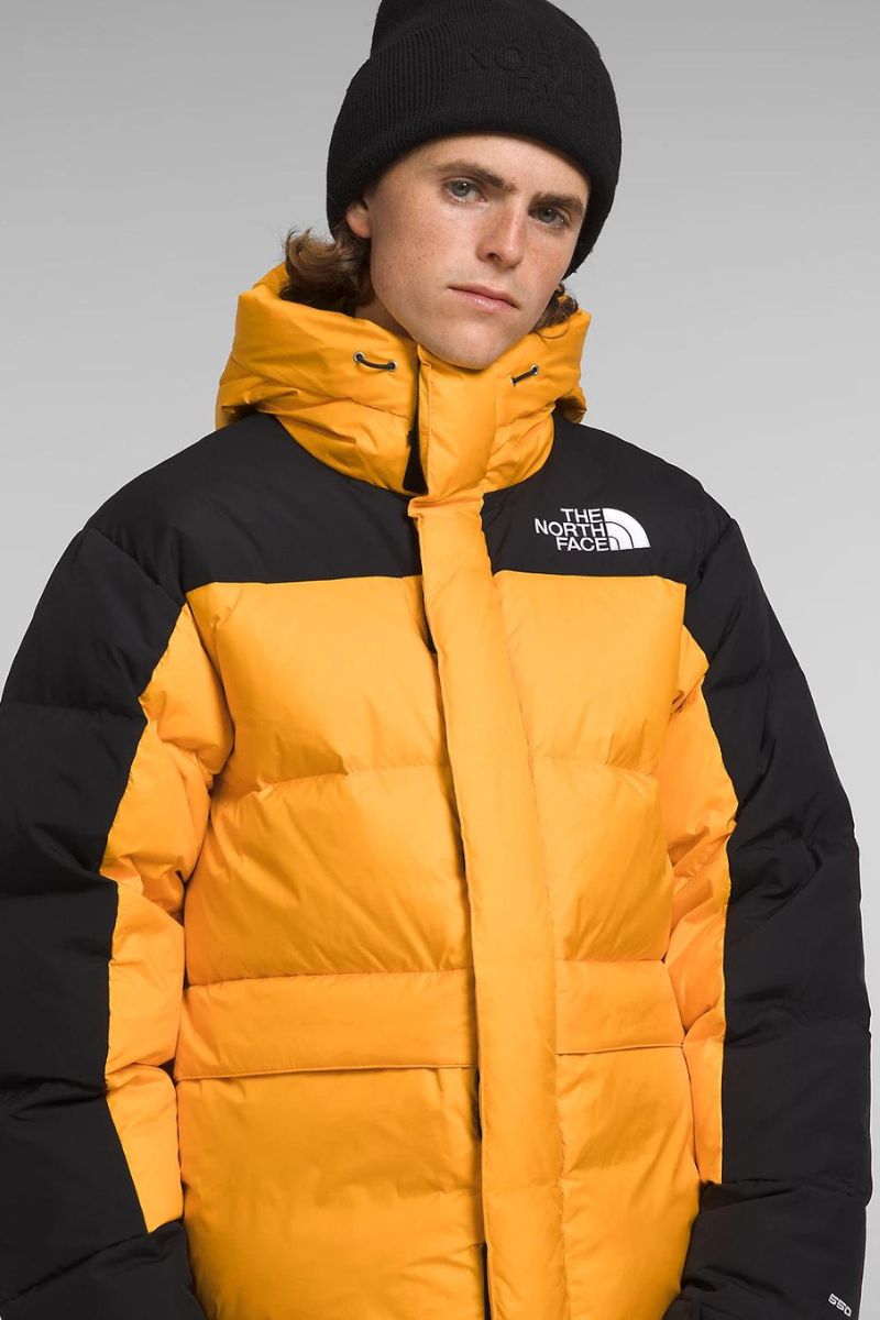 The North newest Face Parka